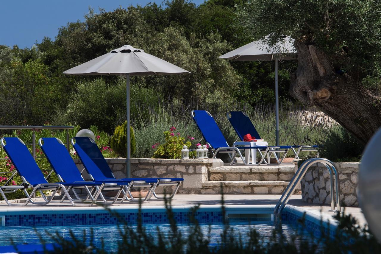 Villas Amantea- Four Villas With Big Pool And Infinity Pool Syvota Dış mekan fotoğraf